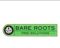 Bare Roots Tree Solutions image 1